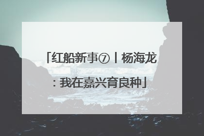 红船新事⑦丨杨海龙：我在嘉兴育良种