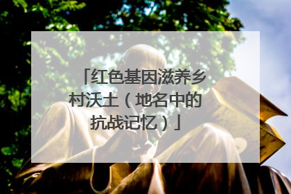 红色基因滋养乡村沃土（地名中的抗战记忆）