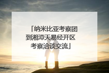 纳米比亚考察团到湘潭天易经开区考察洽谈交流