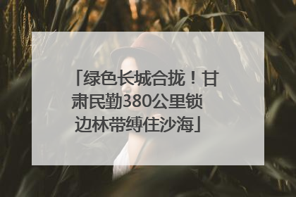 绿色长城合拢！甘肃民勤380公里锁边林带缚住沙海