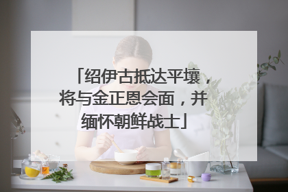 绍伊古抵达平壤，将与金正恩会面，并缅怀朝鲜战士