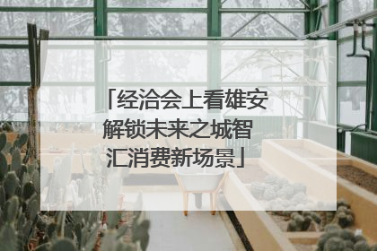 经洽会上看雄安 解锁未来之城智汇消费新场景