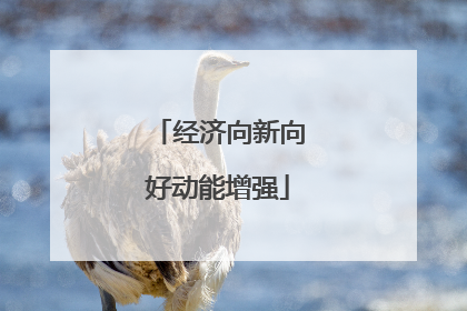 经济向新向好动能增强