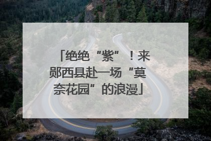 绝绝“紫”！来郧西县赴一场“莫奈花园”的浪漫