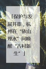 保护与发展并重，杭州在“依山理水”间唤醒“古村新生”