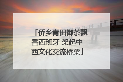 侨乡青田御茶飘香西班牙 架起中西文化交流桥梁