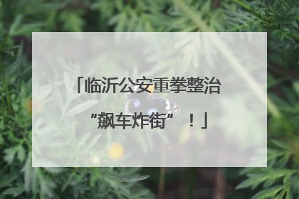 临沂公安重拳整治“飙车炸街”！