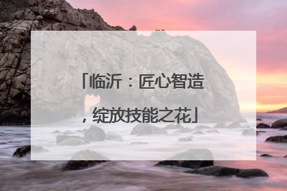临沂：匠心智造，绽放技能之花