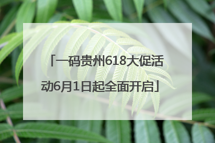 一码贵州618大促活动6月1日起全面开启