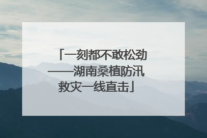 一刻都不敢松劲——湖南桑植防汛救灾一线直击