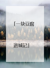 一块豆腐进城记