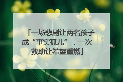 一场悲剧让两名孩子成“事实孤儿”，一次救助让希望重燃