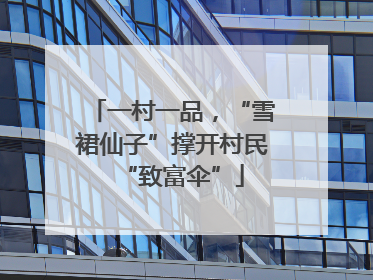 一村一品，“雪裙仙子”撑开村民“致富伞”