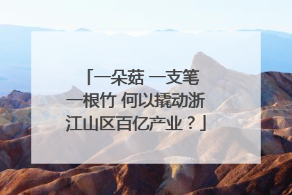 一朵菇 一支笔 一根竹 何以撬动浙江山区百亿产业？