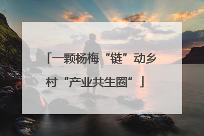 一颗杨梅“链”动乡村“产业共生圈”