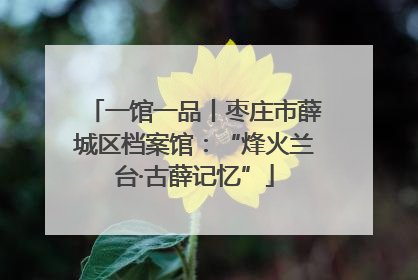 一馆一品丨枣庄市薛城区档案馆：“烽火兰台·古薛记忆”