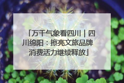 万千气象看四川｜四川绵阳：擦亮文旅品牌 消费活力继续释放