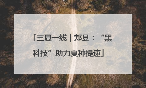 三夏一线｜郏县：“黑科技”助力夏种提速