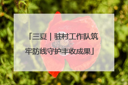 三夏｜驻村工作队筑牢防线守护丰收成果
