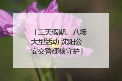 三天假期、八场大型活动 沈阳公安交警硬核守护