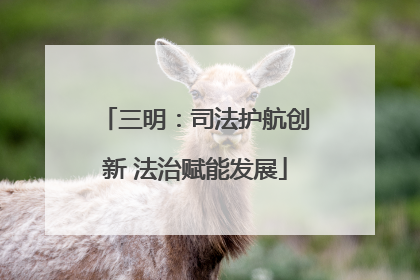三明：司法护航创新 法治赋能发展