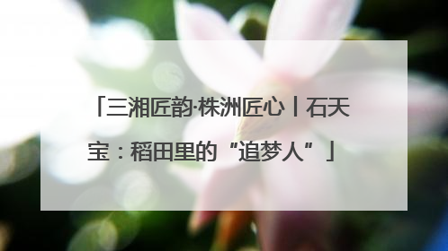 三湘匠韵·株洲匠心丨石天宝：稻田里的“追梦人”