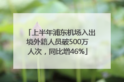 上半年浦东机场入出境外籍人员破500万人次，同比增46%