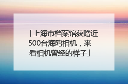上海市档案馆获赠近500台海鸥相机，来看相机曾经的样子