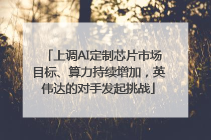 上调AI定制芯片市场目标、算力持续增加，英伟达的对手发起挑战