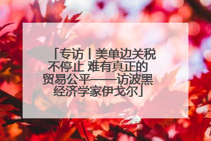 专访丨美单边关税不停止 难有真正的贸易公平——访波黑经济学家伊戈尔