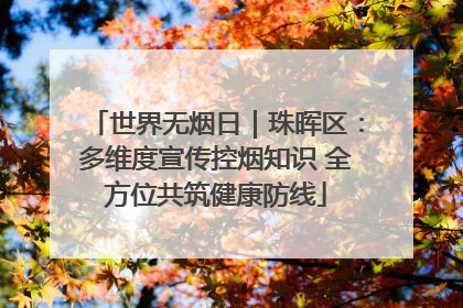 世界无烟日｜珠晖区：多维度宣传控烟知识 全方位共筑健康防线