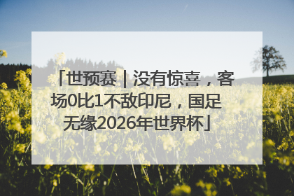 世预赛｜没有惊喜，客场0比1不敌印尼，国足无缘2026年世界杯