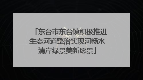 东台市东台镇积极推进生态河道整治实现河畅水清岸绿景美新愿景