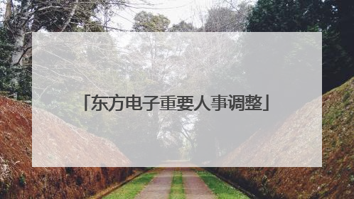 东方电子重要人事调整