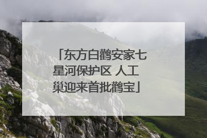 东方白鹳安家七星河保护区 人工巢迎来首批鹳宝