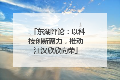 东湖评论：以科技创新聚力，推动江汉欣欣向荣