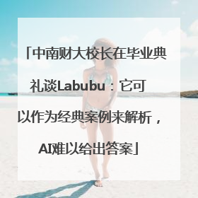 中南财大校长在毕业典礼谈Labubu：它可以作为经典案例来解析，AI难以给出答案