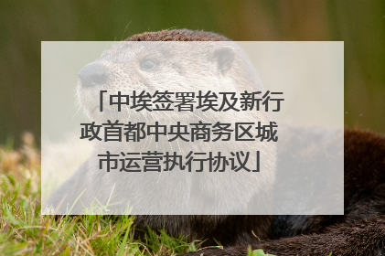 中埃签署埃及新行政首都中央商务区城市运营执行协议