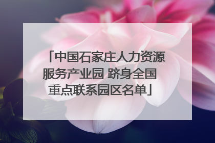 中国石家庄人力资源服务产业园 跻身全国重点联系园区名单