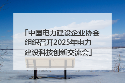 中国电力建设企业协会组织召开2025年电力建设科技创新交流会