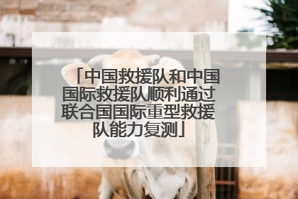 中国救援队和中国国际救援队顺利通过联合国国际重型救援队能力复测