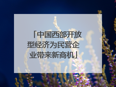 中国西部开放型经济为民营企业带来新商机