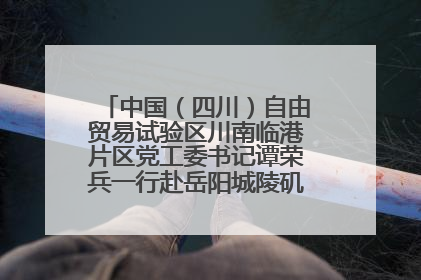 中国（四川）自由贸易试验区川南临港片区党工委书记谭荣兵一行赴岳阳城陵矶综保区考察