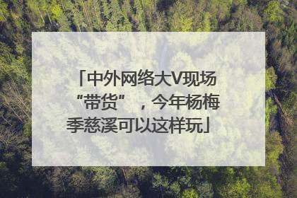 中外网络大V现场“带货”，今年杨梅季慈溪可以这样玩