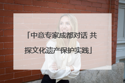 中意专家成都对话 共探文化遗产保护实践