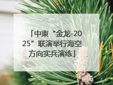 中柬“金龙-2025”联演举行海空方向实兵演练