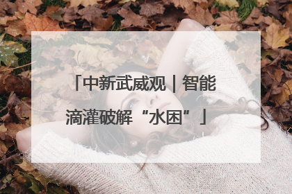 中新武威观｜智能滴灌破解“水困”