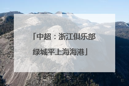 中超：浙江俱乐部绿城平上海海港