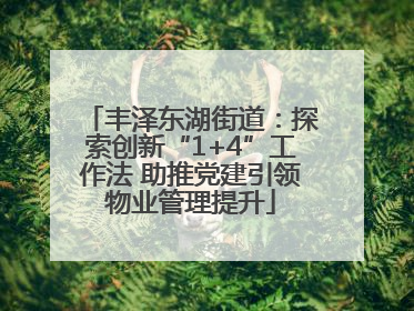 丰泽东湖街道：探索创新“1+4”工作法 助推党建引领物业管理提升