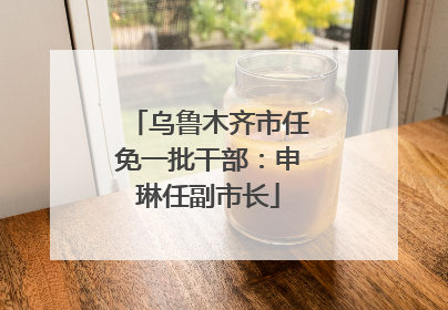 乌鲁木齐市任免一批干部：申琳任副市长